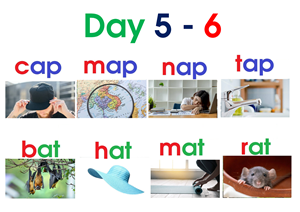 Read day 5 - 6 ( flash card 8 page A4 - picture )